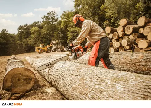 STIHL MS 661, вид сбоку