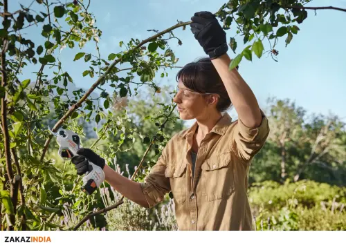 STIHL ASA 20, OLED-дисплей